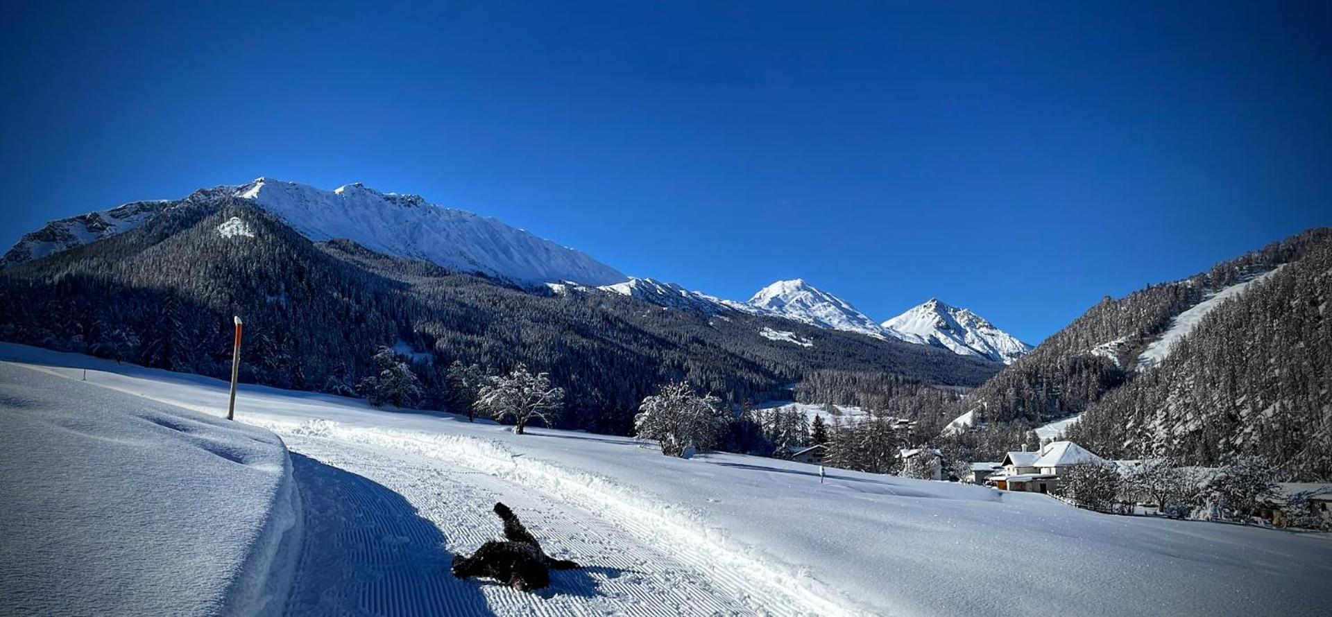 B&B Villa Stelvio Santa Maria Val Müstair Eksteriør billede